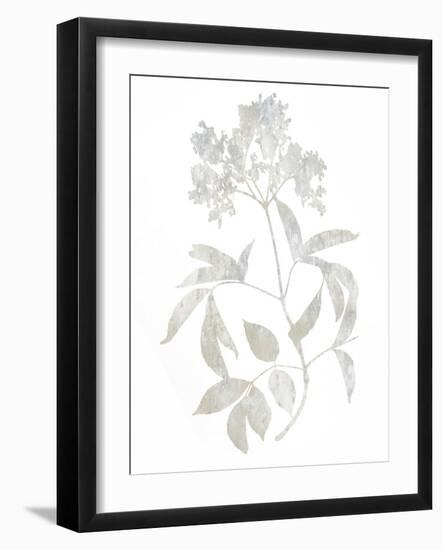 Natural Nature V-Danielle Carson-Framed Art Print