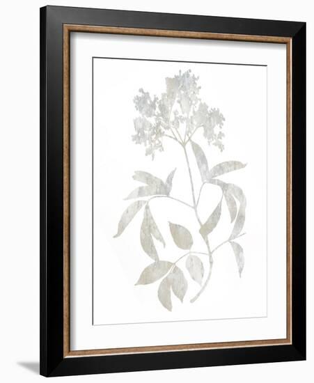 Natural Nature V-Danielle Carson-Framed Art Print