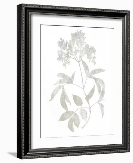 Natural Nature V-Danielle Carson-Framed Art Print