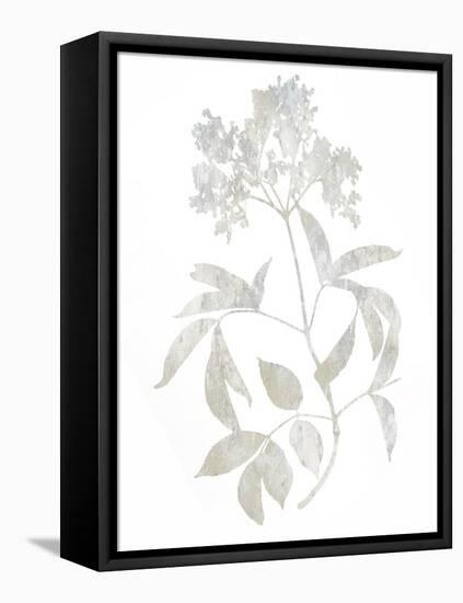 Natural Nature V-Danielle Carson-Framed Stretched Canvas