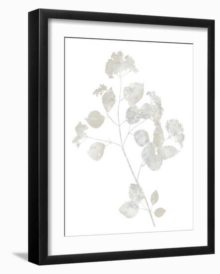 Natural Nature VI-Danielle Carson-Framed Art Print