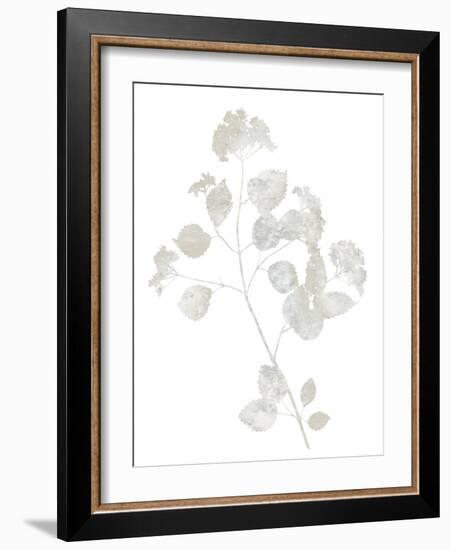 Natural Nature VI-Danielle Carson-Framed Art Print