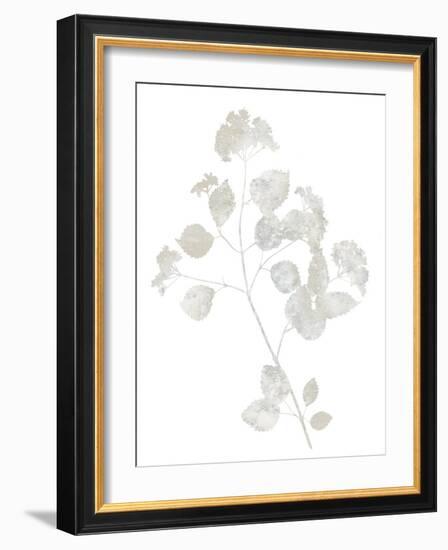 Natural Nature VI-Danielle Carson-Framed Art Print