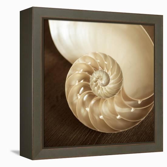 Natural Nautilus-Marlana Semenza-Framed Stretched Canvas