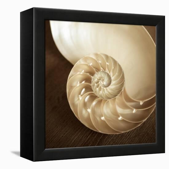 Natural Nautilus-Marlana Semenza-Framed Stretched Canvas
