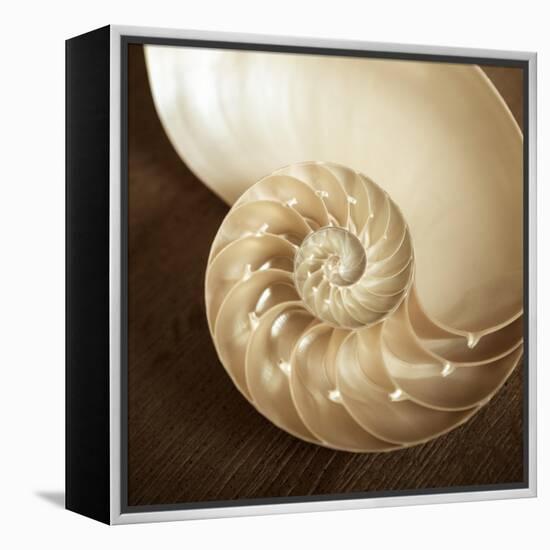 Natural Nautilus-Marlana Semenza-Framed Stretched Canvas