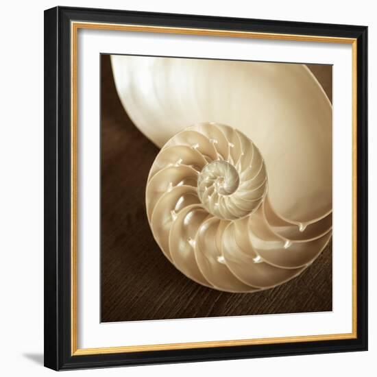 Natural Nautilus-Marlana Semenza-Framed Premium Giclee Print