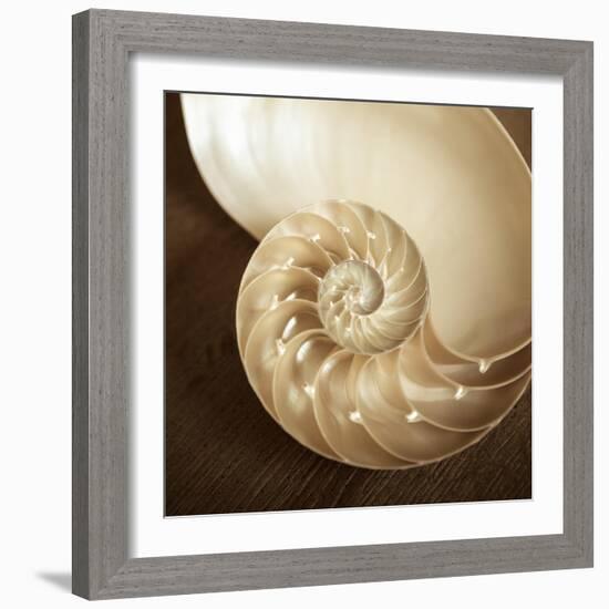 Natural Nautilus-Marlana Semenza-Framed Art Print