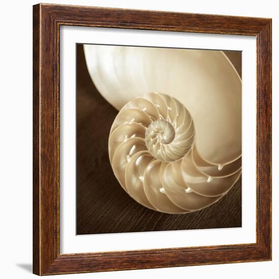 Natural Nautilus-Marlana Semenza-Framed Art Print