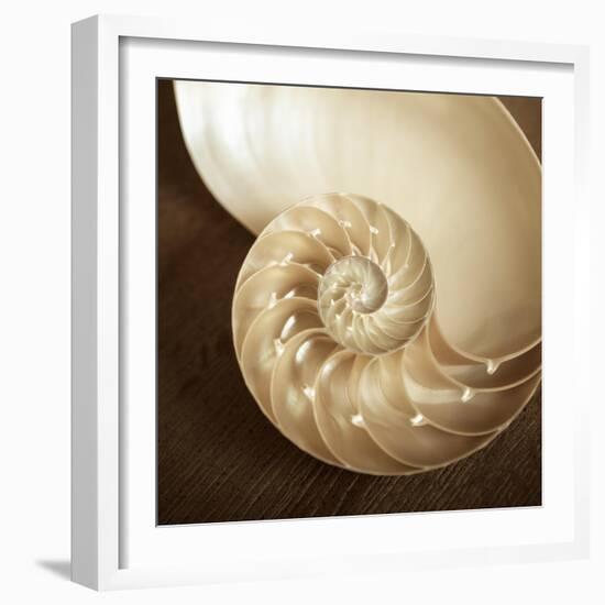 Natural Nautilus-Marlana Semenza-Framed Art Print