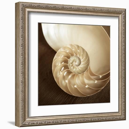 Natural Nautilus-Marlana Semenza-Framed Art Print