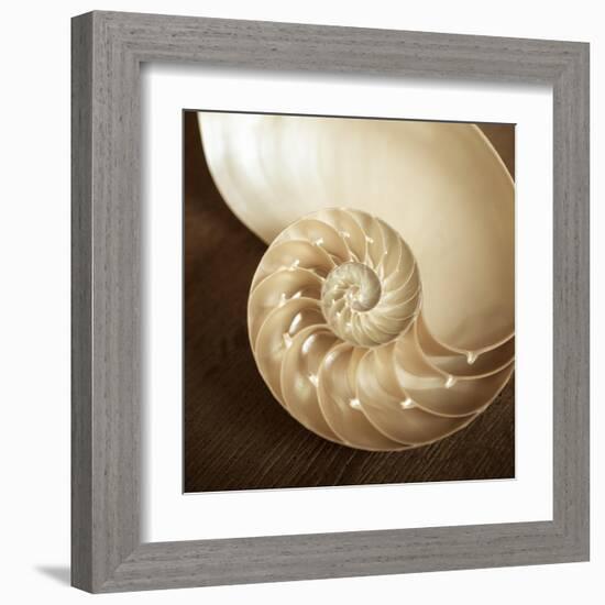 Natural Nautilus-Marlana Semenza-Framed Art Print