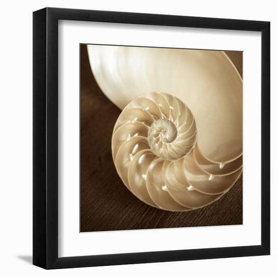 Natural Nautilus-Marlana Semenza-Framed Art Print