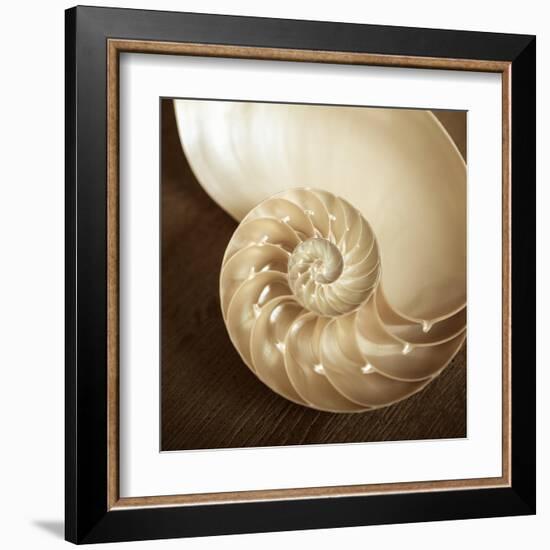 Natural Nautilus-Marlana Semenza-Framed Art Print