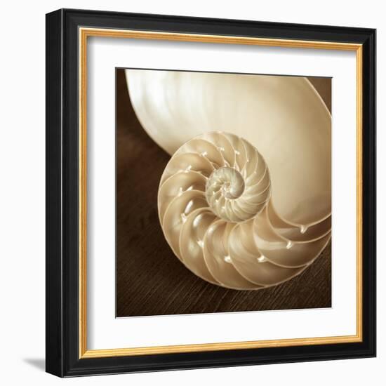 Natural Nautilus-Marlana Semenza-Framed Art Print