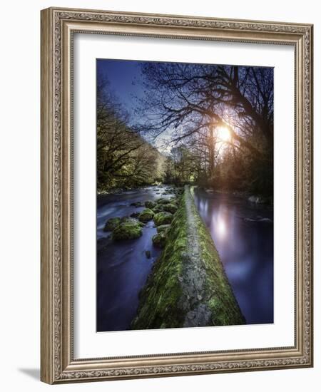 Natural Path Between Two Streams of River at Sunset, Ritsa Nature Reserve-null-Framed Photographic Print