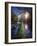 Natural Path Between Two Streams of River at Sunset, Ritsa Nature Reserve-null-Framed Photographic Print