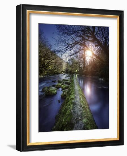 Natural Path Between Two Streams of River at Sunset, Ritsa Nature Reserve-null-Framed Photographic Print