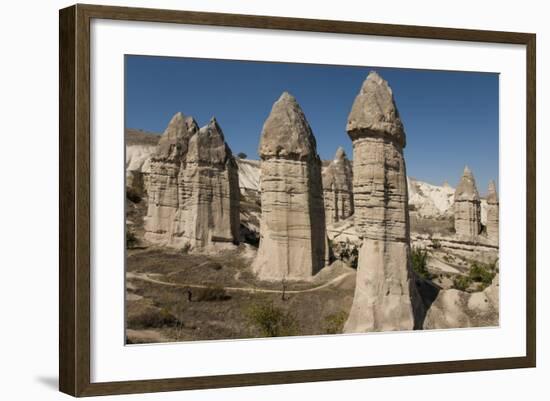 Natural Pinnacles in Volcanic Ash, Zemi Valley, Goreme, Cappadocia, Anatolia, Turkey Minor, Eurasia-Tony Waltham-Framed Photographic Print