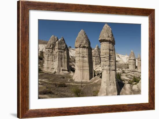 Natural Pinnacles in Volcanic Ash, Zemi Valley, Goreme, Cappadocia, Anatolia, Turkey Minor, Eurasia-Tony Waltham-Framed Photographic Print