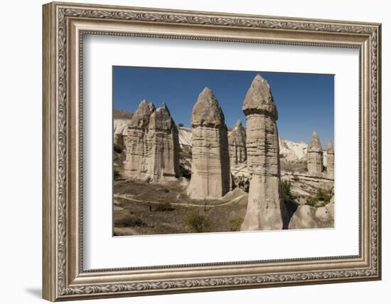 Natural Pinnacles in Volcanic Ash, Zemi Valley, Goreme, Cappadocia, Anatolia, Turkey Minor, Eurasia-Tony Waltham-Framed Photographic Print