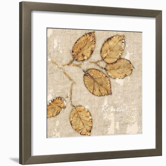 Natural Renewal-James Wiens-Framed Art Print