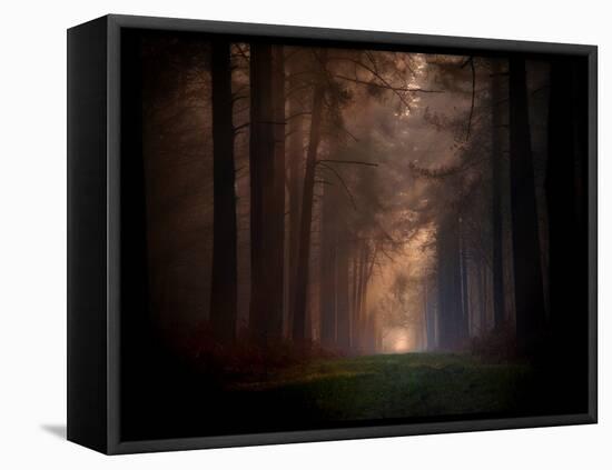 Natural Rigidity-Philippe Manguin-Framed Premier Image Canvas