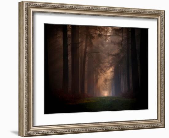 Natural Rigidity-Philippe Manguin-Framed Photographic Print