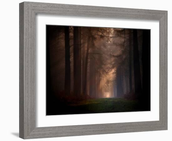 Natural Rigidity-Philippe Manguin-Framed Photographic Print