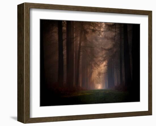 Natural Rigidity-Philippe Manguin-Framed Photographic Print