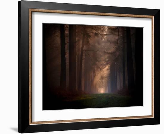 Natural Rigidity-Philippe Manguin-Framed Photographic Print