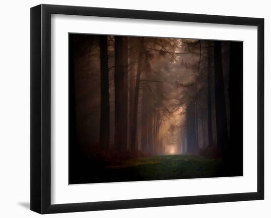 Natural Rigidity-Philippe Manguin-Framed Photographic Print