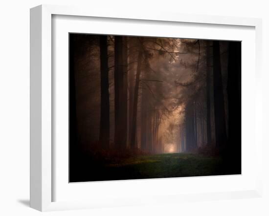 Natural Rigidity-Philippe Manguin-Framed Photographic Print