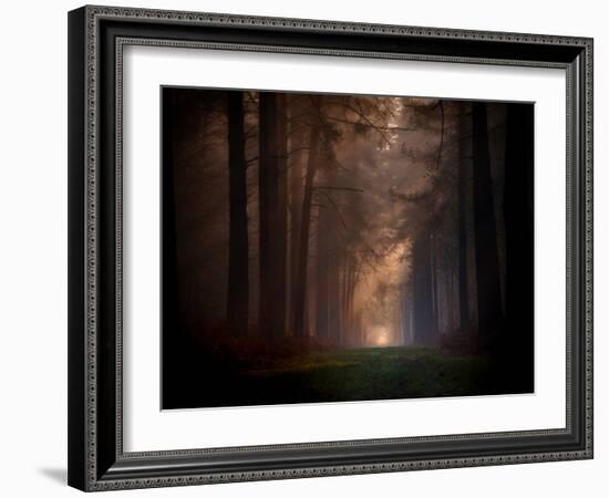 Natural Rigidity-Philippe Manguin-Framed Photographic Print