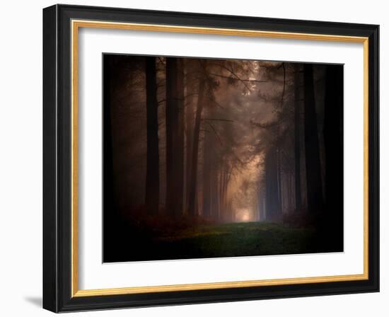 Natural Rigidity-Philippe Manguin-Framed Photographic Print