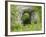 Natural Rock Arch Leading to Reynards Cave, Dovedale, Peak District Np, Derbyshire, UK-Gary Smith-Framed Photographic Print