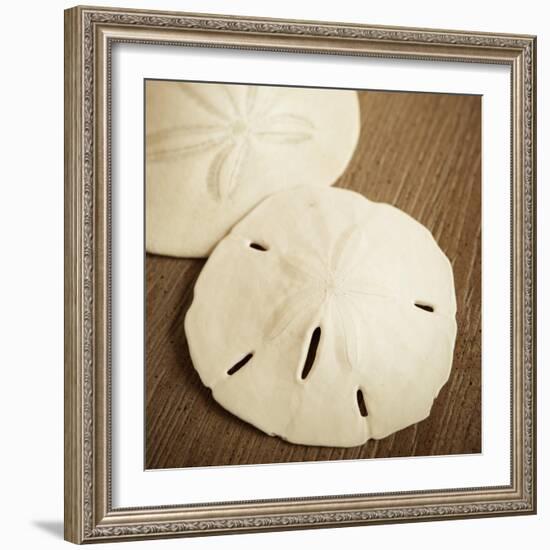 Natural Sand Dollars-Marlana Semenza-Framed Art Print