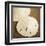 Natural Sand Dollars-Marlana Semenza-Framed Art Print