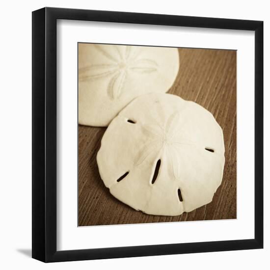 Natural Sand Dollars-Marlana Semenza-Framed Art Print