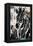 Natural Selection-Joshua Schicker-Framed Premier Image Canvas