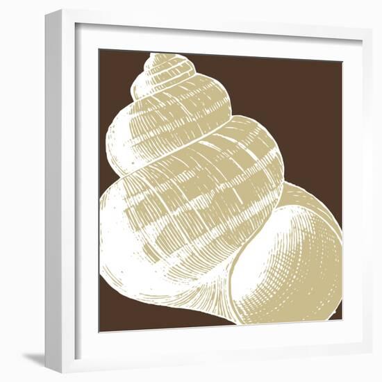 Natural Shell III-N. Harbick-Framed Art Print