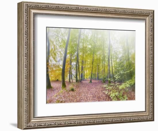 Natural Song-Viviane Fedieu Daniel-Framed Photographic Print