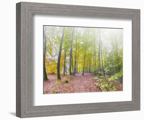 Natural Song-Viviane Fedieu Daniel-Framed Photographic Print