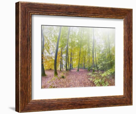 Natural Song-Viviane Fedieu Daniel-Framed Photographic Print