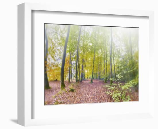 Natural Song-Viviane Fedieu Daniel-Framed Photographic Print