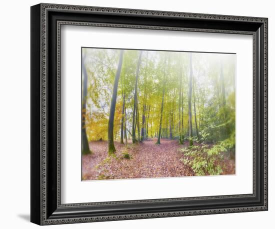 Natural Song-Viviane Fedieu Daniel-Framed Photographic Print