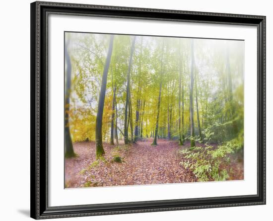 Natural Song-Viviane Fedieu Daniel-Framed Photographic Print