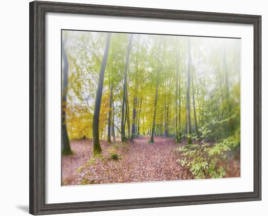 Natural Song-Viviane Fedieu Daniel-Framed Photographic Print