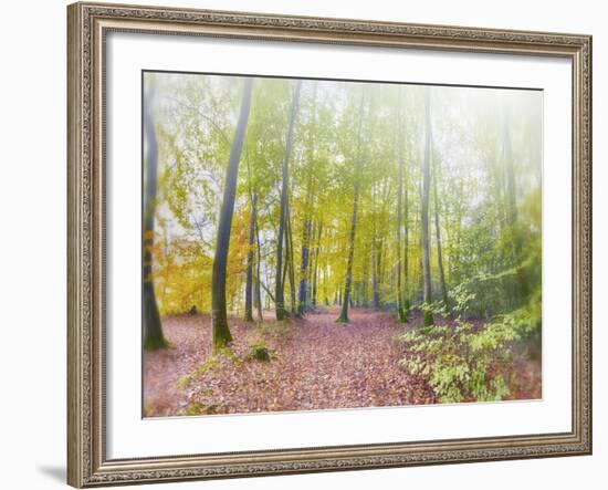 Natural Song-Viviane Fedieu Daniel-Framed Photographic Print