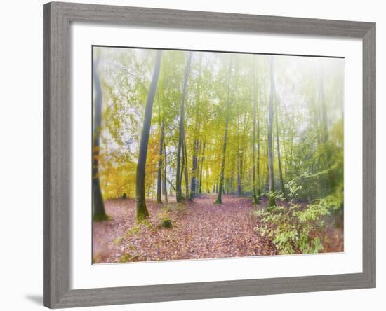 Natural Song-Viviane Fedieu Daniel-Framed Photographic Print